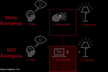 BCI интерфейсы мозг-компьютер
