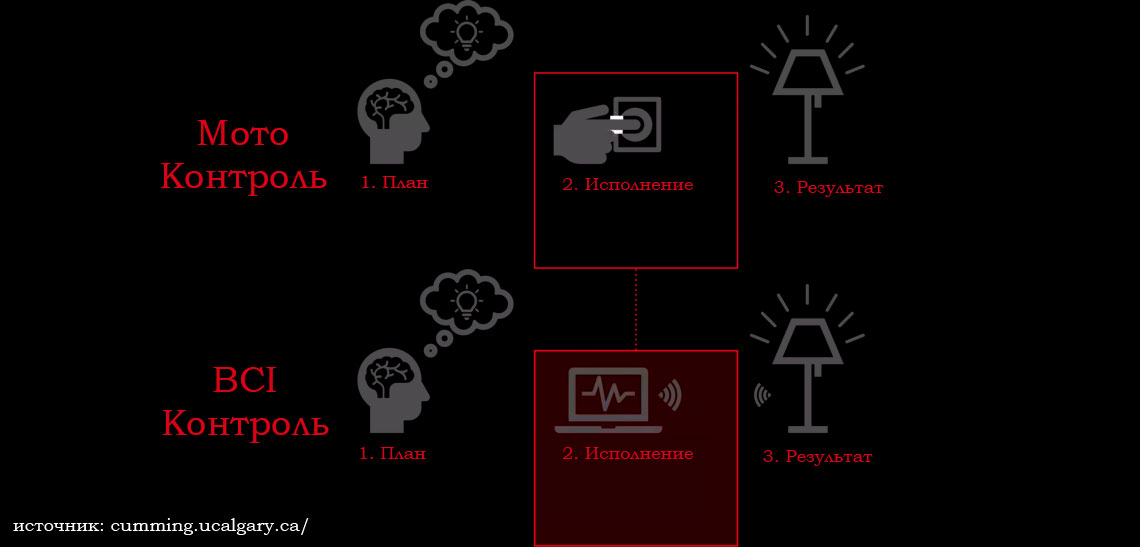 BCI интерфейсы мозг-компьютер